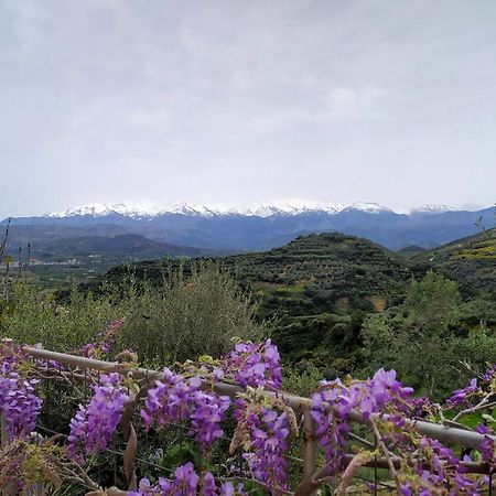 Villa Orgoni Patellari エクステリア 写真