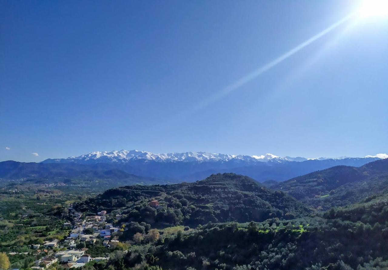 Villa Orgoni Patellari エクステリア 写真