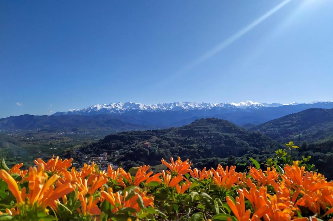 Villa Orgoni Patellari エクステリア 写真